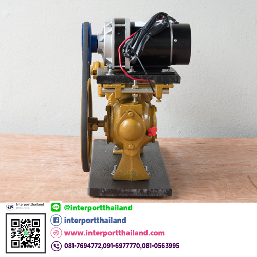 ปั๊มชัก 1 นิ้ว พร้อมมอเตอร์ดีซี 450W แบบเกียร์ทด 24-36 V - Image 3